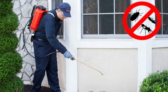 Yenifoça Dezenfeksiyon böcek ilaçlama ve haşere kontrolü — ilaclama-tr.com